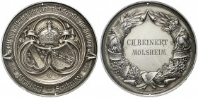 Altdeutsche Münzen und Medaillen, Straßburg, Stadt
Vergold. Silber-Prämienmedaille 1881 v. W. Mayer (Stuttgart) a.d. elsaß-lothr. landwirtschaftl. Au...