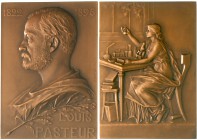 Medaillen, Medicina in Nummis, Personenmedaillen, Pasteur, Louis
Bronzeplakette 1910 v. Prudhomme. Brb. n.li. / Genius experimentiert im Labor. 52 X ...