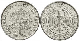 Weimarer Republik, Kursmünzen, 5 Reichsmark Eichbaum Silber 1927-1933
1932 G. gutes sehr schön, winz. Kratzer