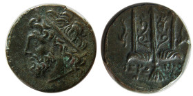 SICILY; Syracuse. Hireon II. 240-215 BC. Æ Litra.