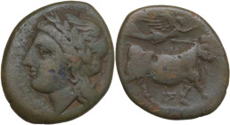 Greek Italy. Central and Southern Campania, Neapolis. AE 21 mm. c. 275-250 BC. Obv. NEOΠOΛITΩN. Laureate head of Apollo left. Rev. Man-headed bull wal...