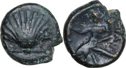 Greek Italy. Southern Apulia, Tarentum. AE 14.5 mm, c. 275-200 BC. Obv. Cockle shell. Rev. [T]APAN. Taras astride dolphin left, holding kantharos in r...