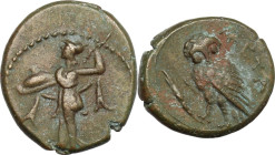 Greek Italy. Southern Lucania, Metapontum. AE 15 mm, 250-207 BC. Obv. Athena Promachos left. Rev. Owl standing left on stalk of grain, wings closed, h...