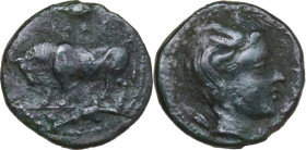 Sicily. Gela. AE Tetras, c. 420-405 BC. Obv. ΓEΛAΣ. Bull advancing left; leaf above, three pellets in exergue. Rev. Horned head of Gelas right; barley...