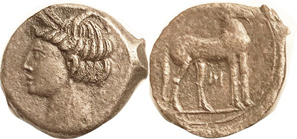 CARTHAGE, Æ24 (Shekel), Sardinian mint, c.264-241 BC, Tanit head l/horse stg r, ...