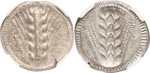 METAPONTUM, Nomos or Stater, 510-470 BC, Barley grain, META left/Barley ear incu...