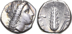 Lukanien Metapont
 Stater 350-300 v. Chr Kopf der Demeter mit Kornähren im Haar nach rechts / Kornähre mit Granne, Beizeichen Pflug Sear 416 SNG Cop....
