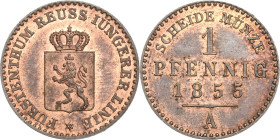 Reuss-Jüngere Linie - Schleiz
Heinrich LXVII. 1854-1867 3 Pfennig 1855, A-Berlin AKS 39 Jaeger 130 Selten in dieser Erhaltung. Prägefrisch