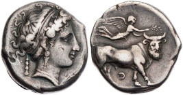 KAMPANIEN NEAPOLIS
 AR-Didrachme 320-300 v. Chr. Vs.: Kopf der Nymphe Parthenope mit Haarband n. r., dahinter Keule, Rs.: androkephaler Stier (Flussg...