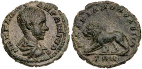 MOESIA INFERIOR MARKIANOPOLIS
Diadumenian Caesar, 217-218 n. Chr. AE-Hemiassarion Vs.: drapierte Büste n. r., Rs.: Löwe schreitet n. l. AMNG I -; Hri...