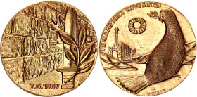 Israel Bronze Medal "The War for Peace - Six-Day War" 1967 JE 5727
