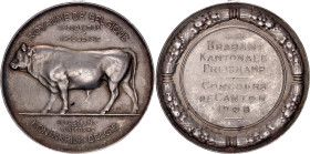 Belgium Silver Medal "Improving the Breed of Сattle" 1908
