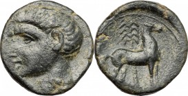 Hispania. Carthago Nova (Qart Hadasht). Roman Rule. AE, after 209 BC. D/ Bare head left (Scipio Africanus?). R/ Horse standing right; behind, palm tre...