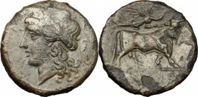 Greek Italy. Samnium, Southern Latium and Northern Campania, Suessa Aurunca. AE, 265-240 BC. D/ Head of Apollo left, laureate; behind, shield. R/ Man-...
