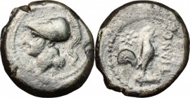 Greek Italy. Samnium, Southern Latium and Northern Campania, Teanum Sidicinum. AE, 265-240 BC. D/ Head of Athena left, helmeted. R/ Rooster standing r...
