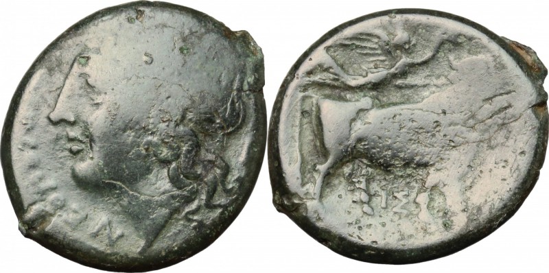 Greek Italy. Central and Southern Campania, Neapolis. AE, 275-250 BC. D/ Head of...
