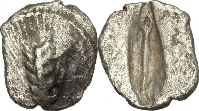 Greek Italy. Southern Lucania, Metapontum. AR Diobol, 440-430 B.C. D/ Barley ear...