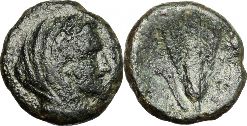 Greek Italy. Southern Lucania, Metapontum. AE, 275-250 BC. D/ Head of Demeter ri...