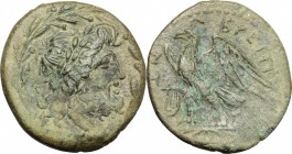 Greek Italy. Bruttium, The Brettii. AE unit , 218-205 BC. D/ Head of Zeus right, laureate; within wreath. R/ Eagle standing left on thunderbolt; befor...