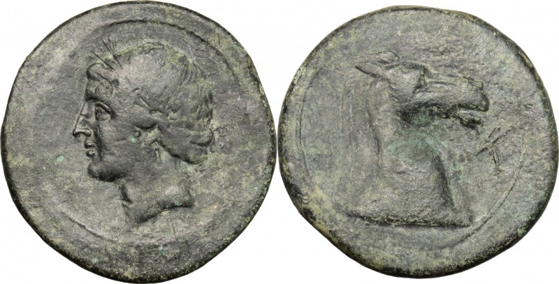 Greek Italy. Bruttium, Carthaginians in South-West Italy. AE Unit, 215-205 BC. D...