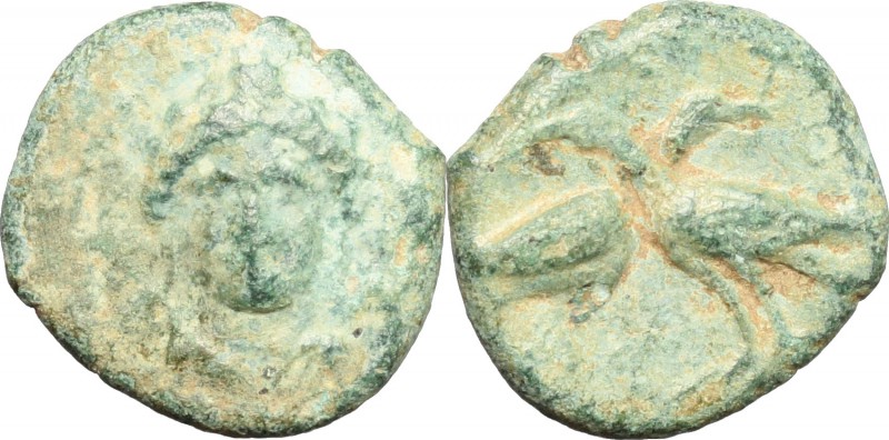 Greek Italy. Bruttium, Laus. AE, 350-300 BC. D/ Female head facing. R/ Two birds...
