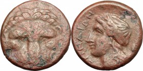 Greek Italy. Bruttium, Terina. AE, 350-275 BC. D/ Lion-mask facing. R/ Head of Apollo left, laureate. HN Italy 2648. AE. g. 7.68 mm. 21.00 Reddish bro...