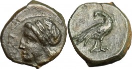 Sicily. Akragas. AE, 287-279 BC. D/ Head of Apollo left, laureate. R/ Eagle standing right, head turned back. CNS I, 119. SNG Cop 98. AE. g. 2.69 mm. ...