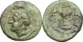 Sicily. Alaisa Etnea. Roman Rule. AE, after 263 BC. D/ Male head left. R/ Cuirass. CNS I, 16. SNG ANS -. AE. g. 1.71 mm. 14.00 Rare. Good F.