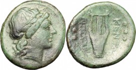 Sicily. Centuripae. AE Hemilitron, after 241 BC. D/ Head of Apollo right, laureate. R/ Lyre. CNS III, 5. AE. g. 8.29 mm. 23.00 Green patina. About VF.
