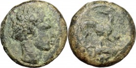 Sicily. Eryx. AE, 400-330 BC. D/ Female head right. R/ Hound right, head turned back. CNS I, 13. AE. g. 2.69 mm. 13.00 F.