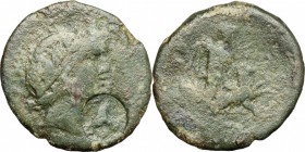 Sicily. Gela. AE, 2nd-1st century BC. D/ Head of river god Gela right, wearing wreath on reed. R/ Nude warrior about to sacrifice a ram. CNS III, 63 v...
