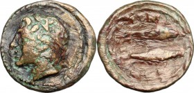 Sicily. Leontini. AE, after 210 BC. D/ Head of Apollo left, laureate. R/ Two fishes. SNG Cop. 371-372. CNS 17. AE. g. 1.46 mm. 13.00 Brown patina with...