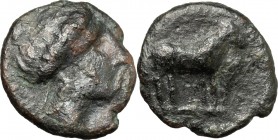 Sicily. Nakona. AE Onkia, 330-310 BC. D/ Female head right. R/ Goat standing right. CNS I, 2. AE. g. 1.32 mm. 12.00 F.