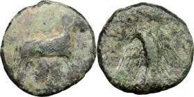 Sicily. Panormos. Roman Rule. AE, after 241 BC. D/ Ram standing right; below, head of Janus. R/ Eagle standing right, head turned back, wings open. CN...
