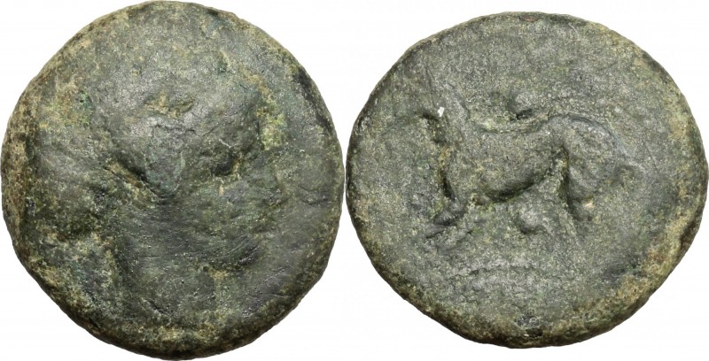 Sicily. Segesta. AE Hexas, 461-415 BC. D/ Head of nymph Segesta right, hair boun...
