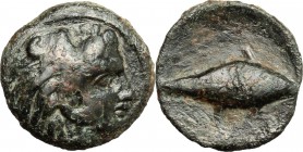 Sicily. Solous. AE, 300-241 BC. D/ Head of Heracles right, wearing lion's skin. R/ Tuna right. CNS I, 11. AE. g. 1.76 mm. 14.00 About VF.