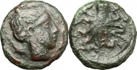 Sicily. Syracuse. AE Tetras, after 425 BC. D/ Head of Arethusa right; surrounded by two dolphins. R/ Octopus; surrounded by three pellets. CNS II, 1. ...