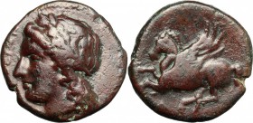 Sicily. Syracuse. Timoleon and the Third Democracy (344-317 BC). AE. D/ Head of Apollo left, laureate. R/ Pegasus flying left. CNS II, 85. AE. g. 5.01...