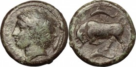 Sicily. Syracuse. Agathokles (317-289 BC). AE. D/ Head of Persephone left; behind, grain of barley. R/ Bull butting left; above and below, dolphin. CN...