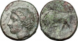 Sicily. Syracuse. Agathokles (317-289 BC). AE. D/ Head of Persephone left. R/ Bull butting left; above, monogram. CNS II, 110. AE. g. 3.30 mm. 16.00 G...