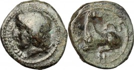 Sicily. Syracuse. Agathokles (317-289 BC). AE. D/ Head of Apollo left, laureate. R/ Dog lying left, head right; behind, serpent. CNS II, 149. AE. g. 1...