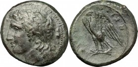 Sicily. Syracuse. Hiketas (287-278 BC). AE. D/ Head of Zeus Hellanios right; behind, palladium. R/ Eagle standing left on thunderbolt. CNS II, 157 var...