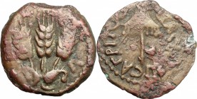 Judaea. Agrippa I (37-44). AE Prutah, 37-44. D/ Canopy. R/ Three ears of barley. Hendin 1244. AE. g. 2.24 mm. 17.00 Dark brown patina. Good F.