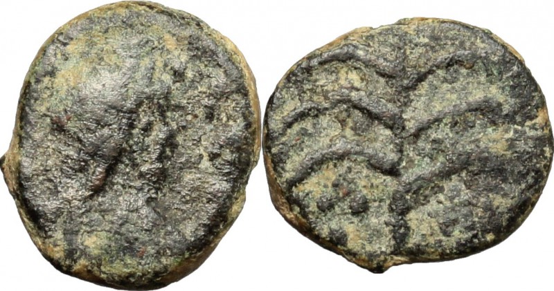 Vandals (?) , Anonymous issue. AE Nummus, 5-6th century. D/ Bust right. R/ Palm ...