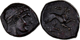 Sicily, Agathocles of Syracuse, Litra, 317-289 BC, Syracuse, Bronze, EF(40-45)