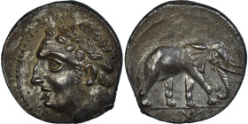 Zeugitana, 1/2 Shekel, ca. 213-210 BC, Carthage, Silver, AU(55-58), SNG-Cop:383