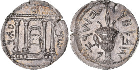Judaea, Sela - Tetradrachm, 133-134, Bar Kochba Revolt, Silver, NGC, MS(60-62)