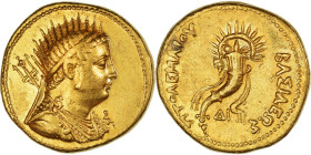 Egypt, Ptolemy IV, Octodrachm, ca. 219-217 BC, Alexandria, Gold, NGC, EF(40-45)