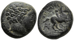 KINGS OF MACEDON. Philip II (359-336 BC).
AE Bronze (16.7mm 6.73g)