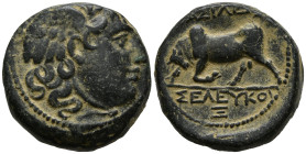 SELEUKID KINGDOM. Seleukos I Nikator (Circa 312-281 BC)
AE Bronze (20mm 7.58g)
Obv: Winged head of Medusa right.
Rev: ΒΑΣΙΛΕΩΣ / ΣΕΛΕΥΚΟΥ. Bull but...